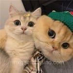 Avatar de Yadira Duarte